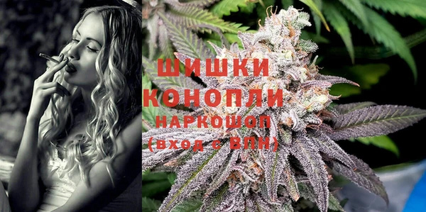 амф Няндома